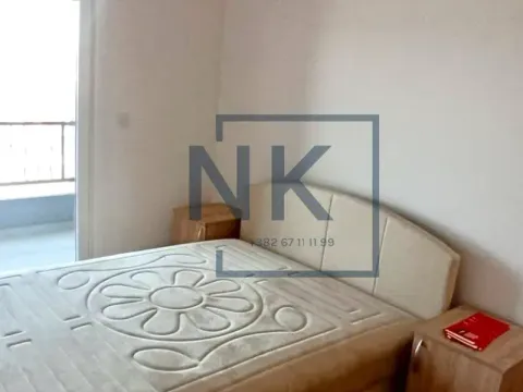 Izdavanje, jednosoban stan, 46m², Stari Aerodrom, Podgorica - image 4