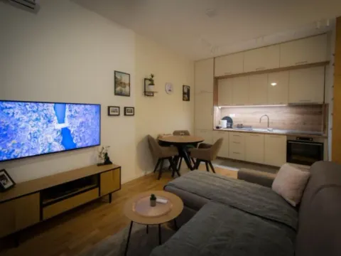 Izdavanje, jednosoban stan, 40m², Tološi, Podgorica - image 8