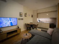 Izdavanje, jednosoban stan, 40m², Tološi, Podgorica - image 8