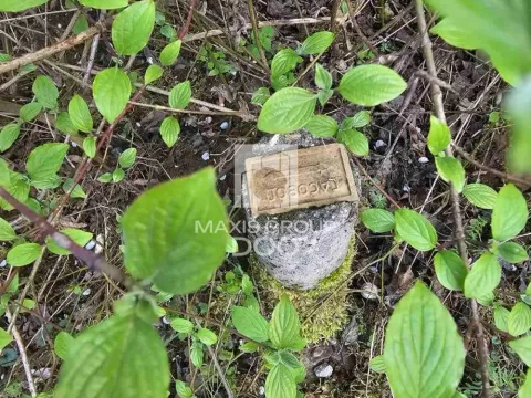 Prodaja, plac, 976m², Draževac, Obrenovac - image 4