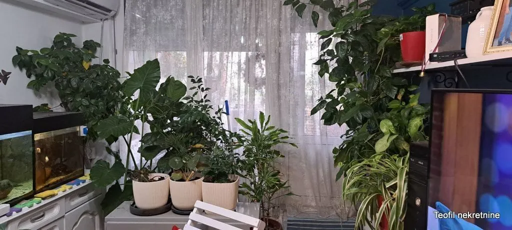 Prodaja, trosoban stan, 60m², Novi Sad, Srbija