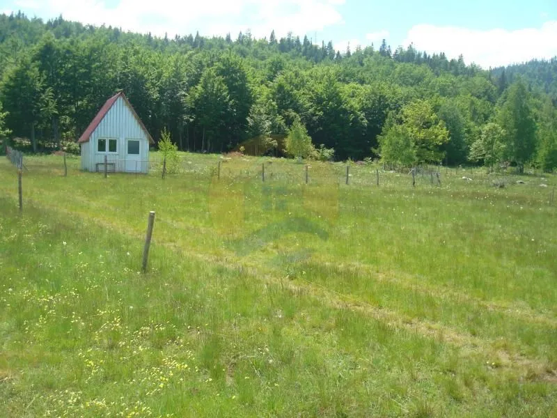 Prodaja, plac, 105000m², Plužine, Crna Gora