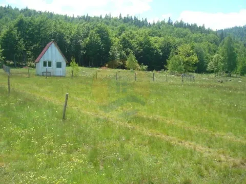 Prodaja, plac, 105000m², Plužine, Crna Gora - image 5
