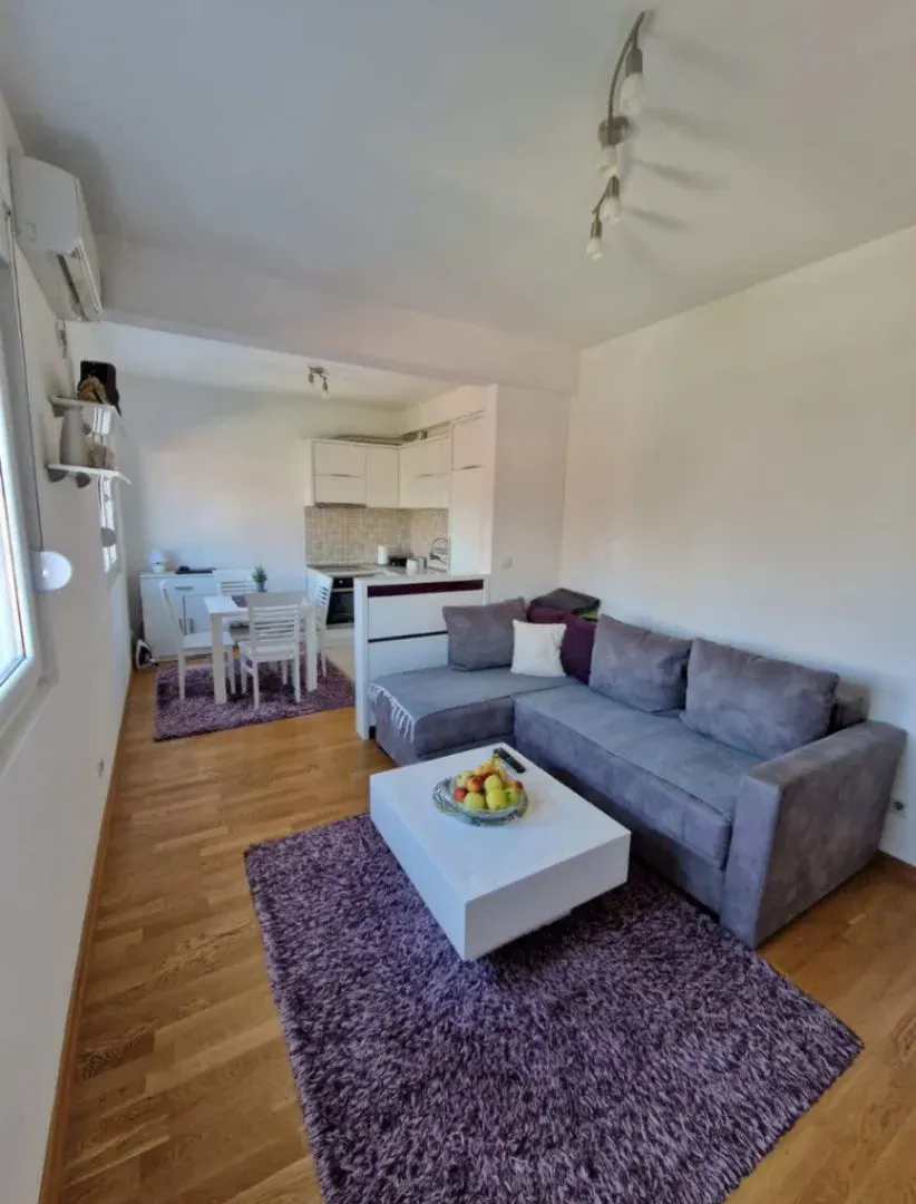 Izdavanje, jednosoban stan, 41m², Stari Aerodrom, Podgorica