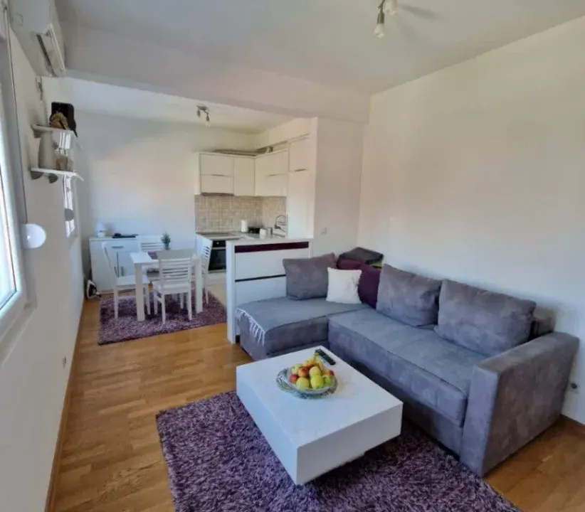 Izdavanje, jednosoban stan, 41m², Stari Aerodrom, Podgorica