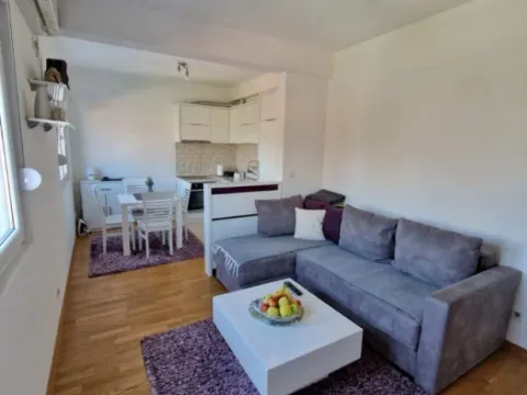 Izdavanje, jednosoban stan, 41m², Stari Aerodrom, Podgorica - image 1