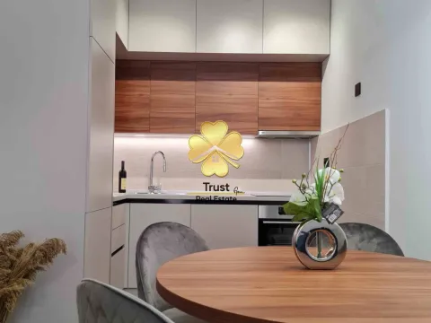 Izdavanje, jednosoban stan, 50m², Podgorica, Crna Gora - image 3