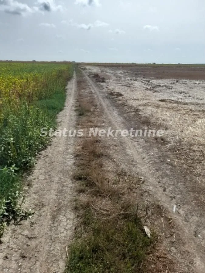Prodaja, plac, 341m², Sremska Mitrovica, Srbija
