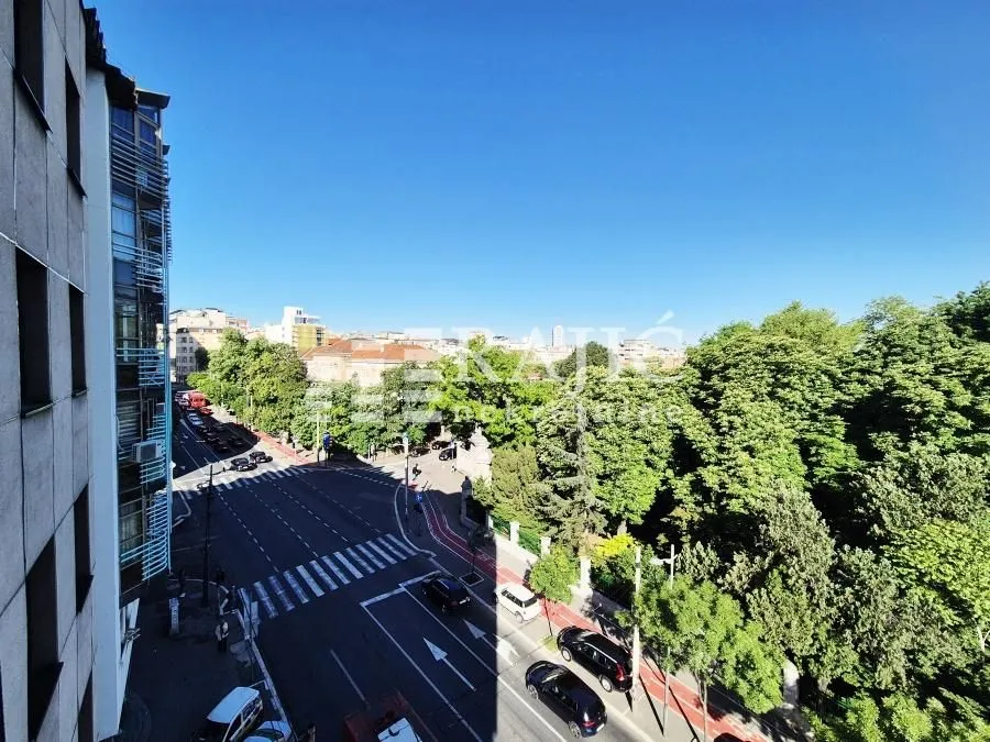 View from the terrace overlooking the street and urban greenery.