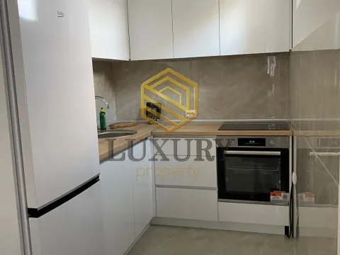 Rent, one bedroom apartment, 70m², Zabjelo, Podgorica - image 2