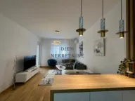 Izdavanje, jednosoban stan, 47m², Stari Aerodrom, Podgorica - image 8