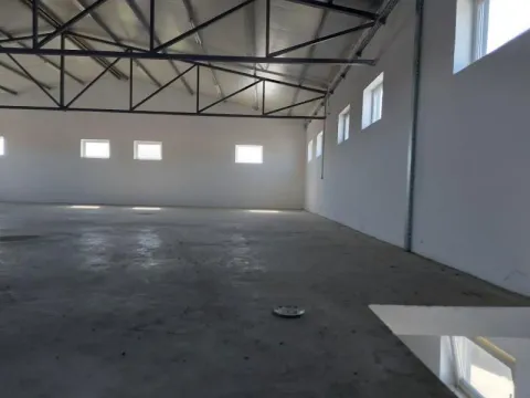 Izdavanje, poslovni prostor, 1500m², Batajnica, Beograd - image 11