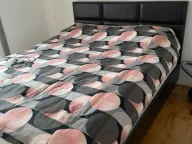 Izdavanje, jednosoban stan, 48m², Stari Aerodrom, Podgorica - image 5