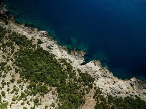 Prodaja, plac, 5000m², Zagora, Kotor - image 4