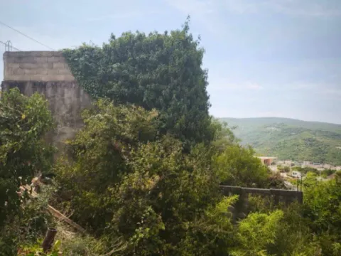 Prodaja, plac, 2557m², Pelinovo, Kotor - image 5