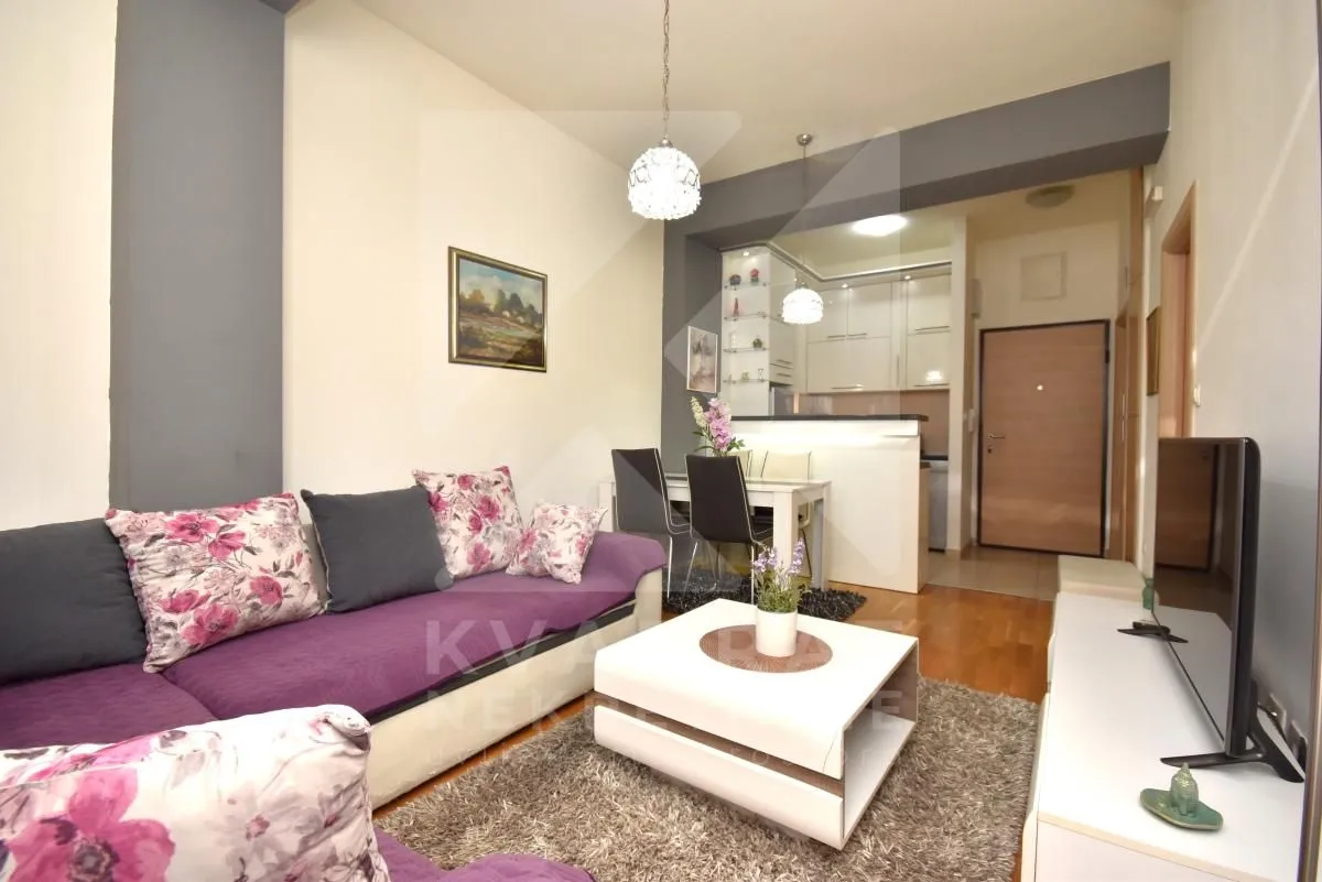 Rent, one bedroom apartment, 42m², Ljubović, Podgorica
