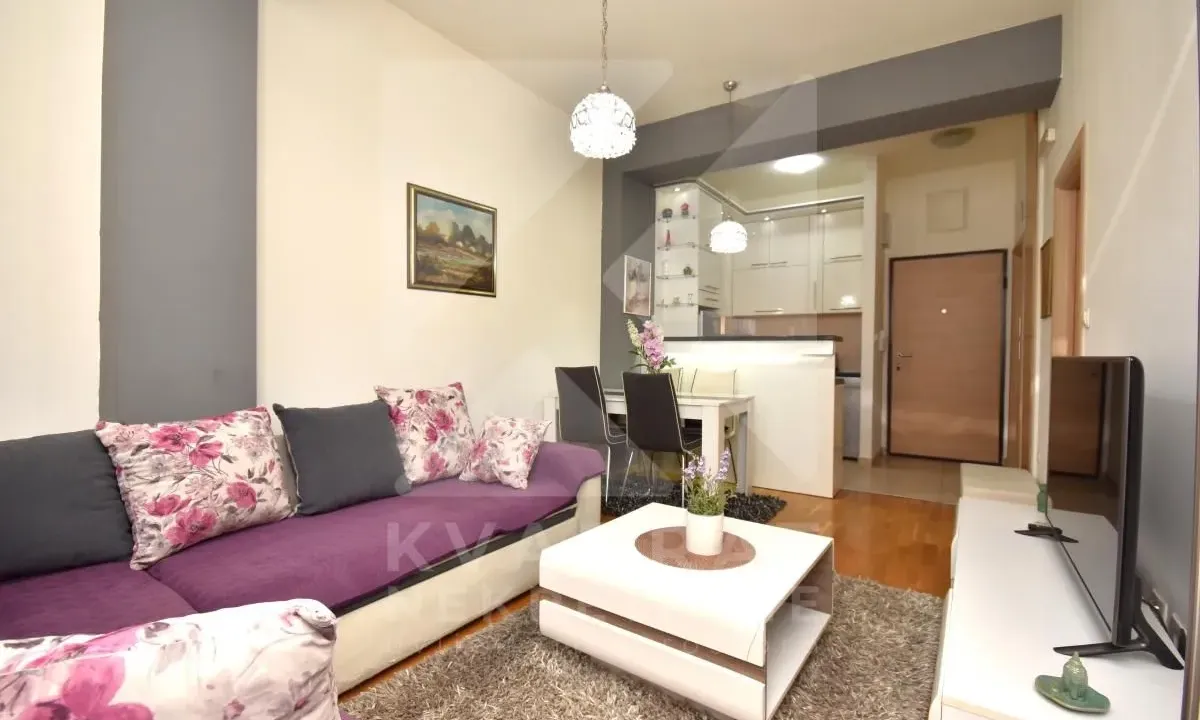 Rent, one bedroom apartment, 42m², Ljubović, Podgorica