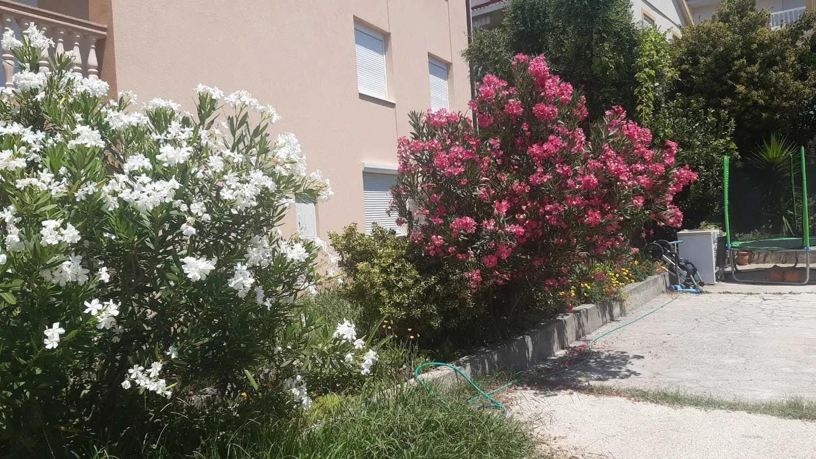 Rent, three bedroom apartment, 100m², Bjeliši, Bar