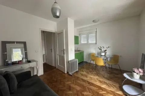 Dnevna soba sa trpezarijom i manjim kuhinjskim prostorom u uglu. - image 4