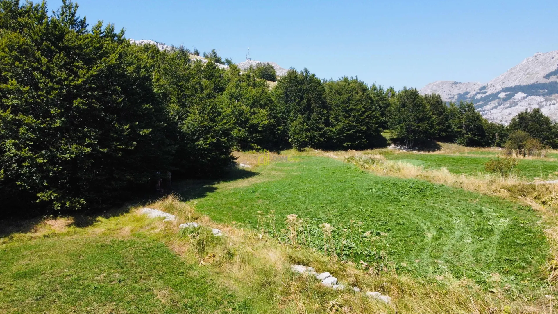 Prodaja, plac, 4269m², Cetinje, Crna Gora