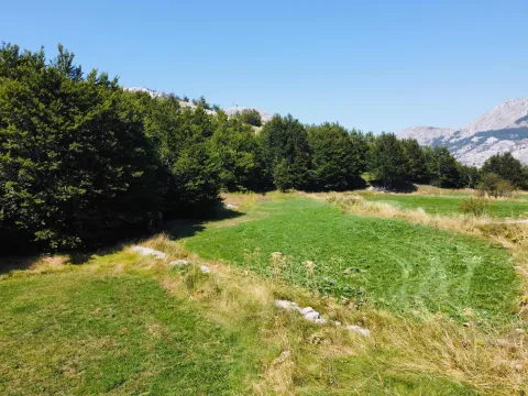 Prodaja, plac, 4269m², Cetinje, Crna Gora - image 3