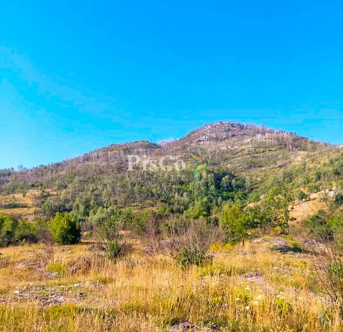 Prodaja, plac, 480000m², Nikšić, Crna Gora