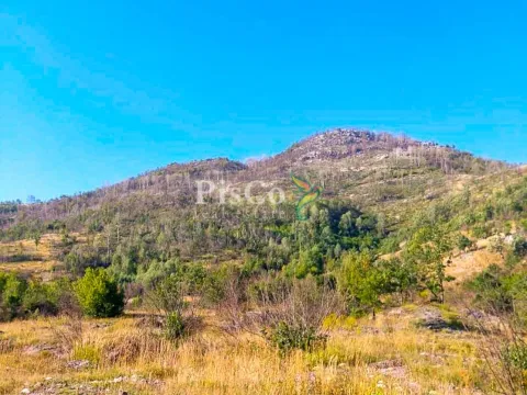 Prodaja, plac, 480000m², Nikšić, Crna Gora - image 6