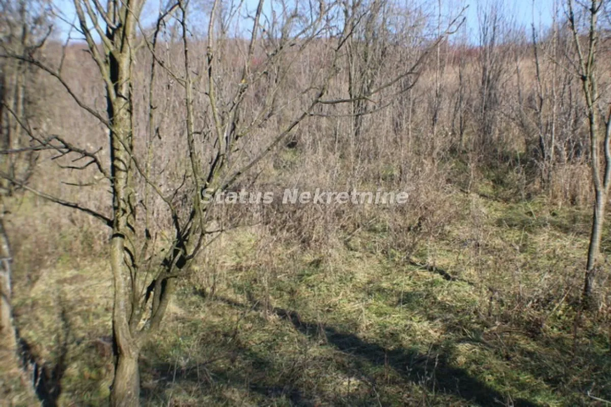 Prodaja, plac, 2493m², Banja Vrdnik, Irig