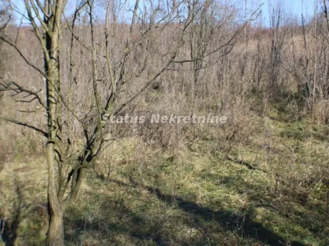 Prodaja, plac, 2400m², Irig, Srbija - image 2