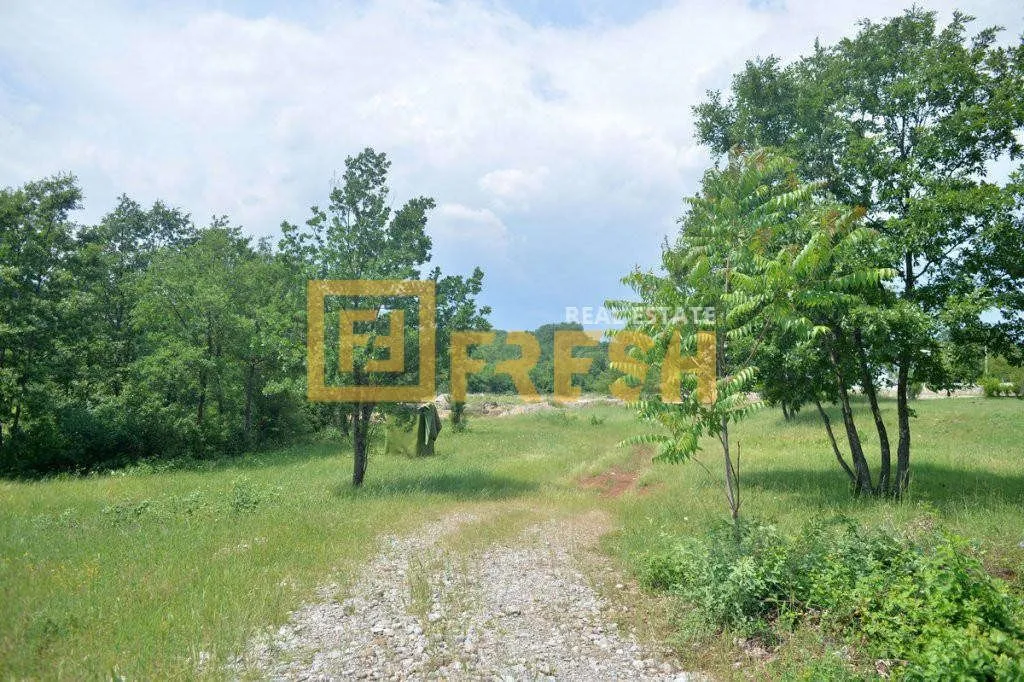 Prodaja, plac, 33000m², Ostalo, Podgorica