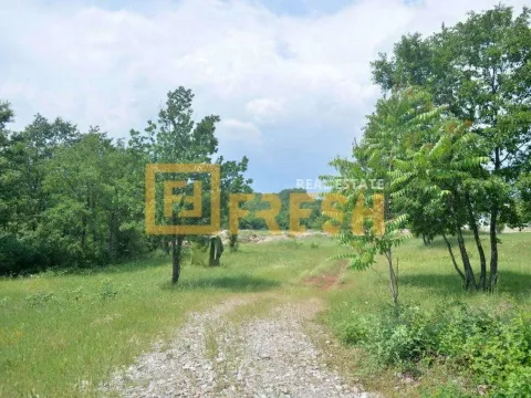 Prodaja, plac, 33000m², Ostalo, Podgorica - image 2