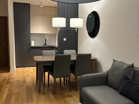 Izdavanje, jednosoban stan, 42m², Central Point, Podgorica - image 9