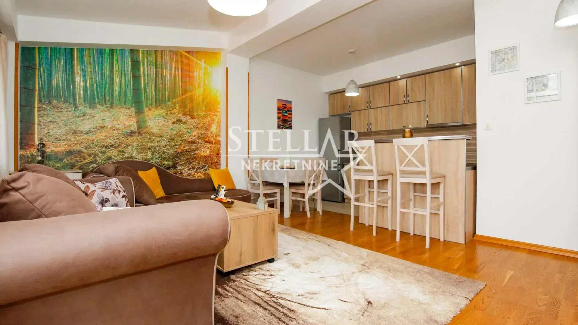 Sale, one bedroom apartment, 49m², Ljubović, Podgorica