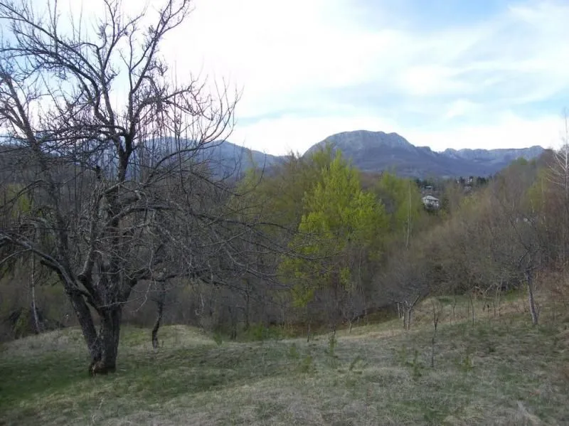 Prodaja, plac, 23600m², Kolašin, Crna Gora