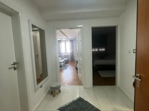 Izdavanje, jednosoban stan, 58m², Stari Aerodrom, Podgorica - image 8