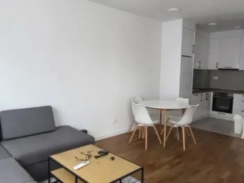 Izdavanje, jednosoban stan, 47m², Stari Aerodrom, Podgorica - image 4