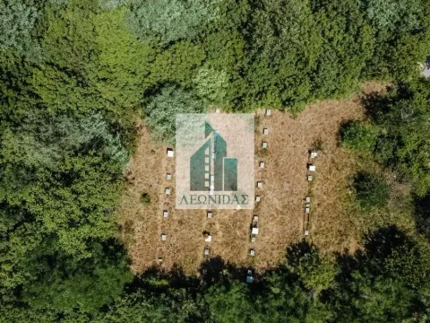 Sale, house, 70m², Niška Banja, Niš - image 28