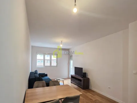 Izdavanje, jednosoban stan, 46m², Central Point, Podgorica - image 3