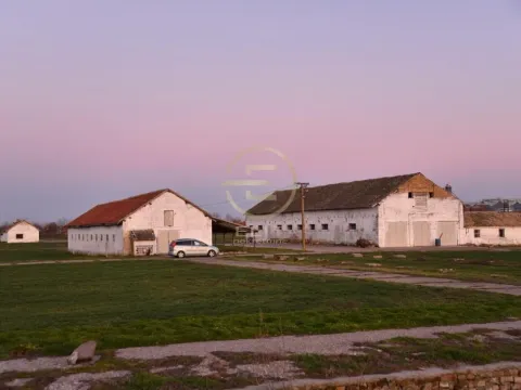 Prodaja, plac, 980m², Vrbas, Novi Sad - image 6