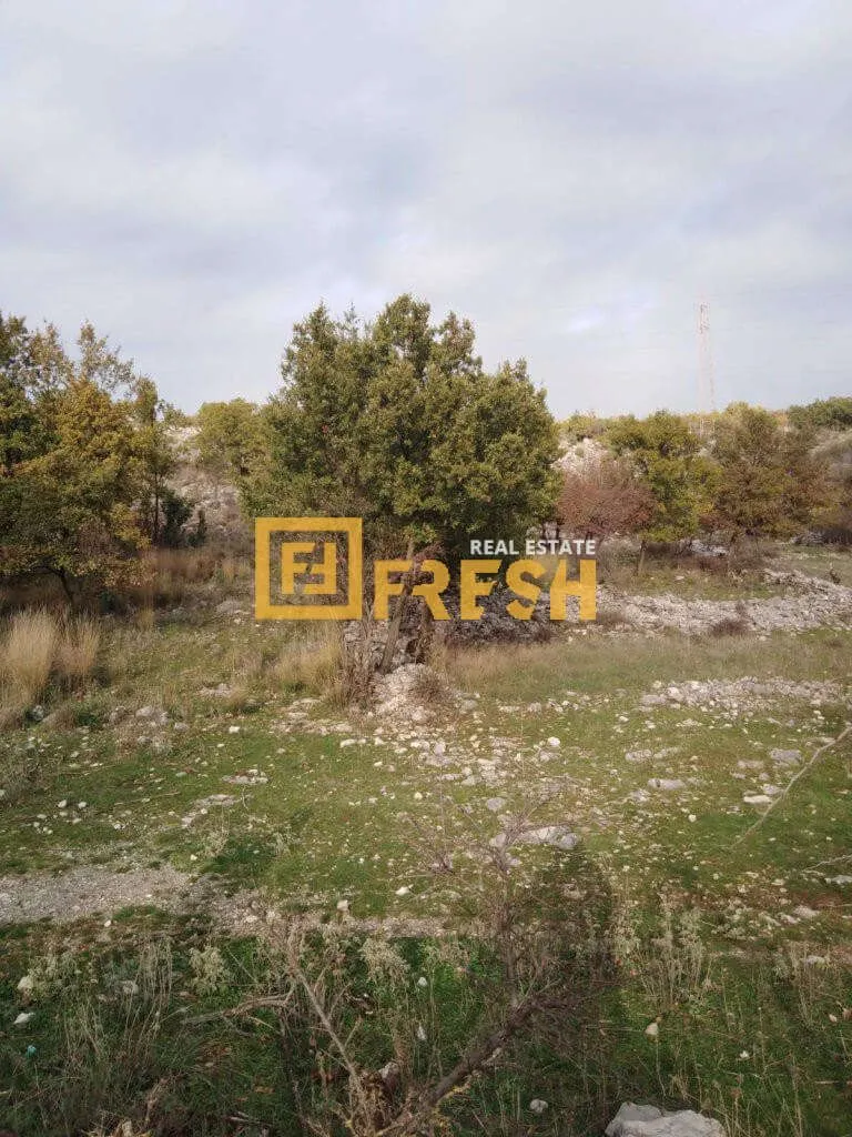 Prodaja, plac, 9600m², Rogami, Podgorica