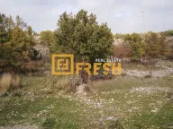 Prodaja, plac, 9600m², Rogami, Podgorica - image 2