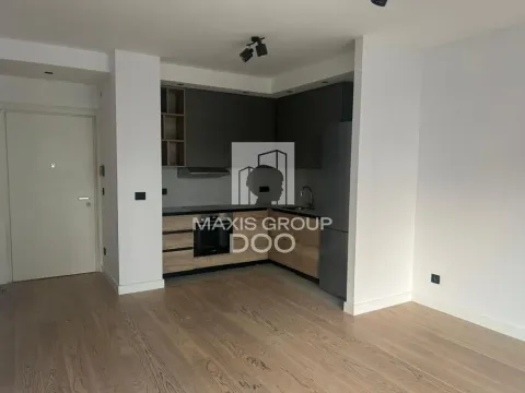 Izdavanje, dvosoban stan, 50m², Savski Venac, Beograd - image 15