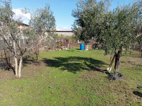 Sale, house, 250m², Zeta, Podgorica - image 4