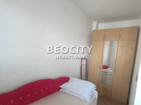 Izdavanje, stan, 40m², Dorćol Sve Podlokacije, Beograd - image 8