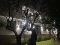 Izdavanje, jednosoban stan, 50m², Bar, Crna Gora - image 4