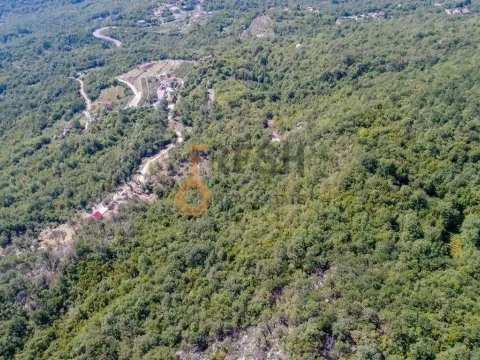 Prodaja, plac, 14000m², Podgorica, Crna Gora - image 12