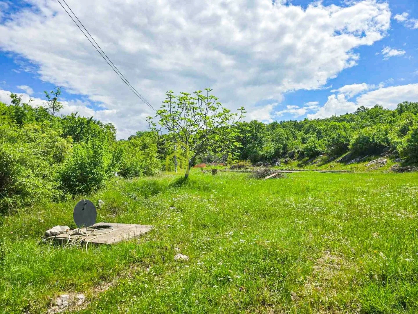 Prodaja, plac, 1500m², Vranići, Podgorica