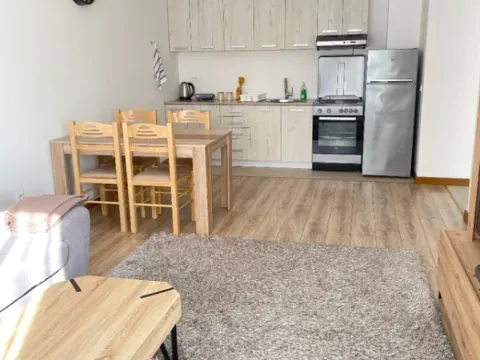 Izdavanje, jednosoban stan, 46m², Ulcinjsko Polje, Ulcinj - image 11