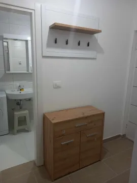 Rent, one bedroom apartment, 42m², Zagorič, Podgorica - image 4