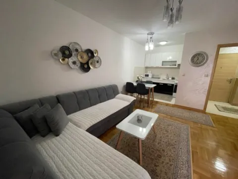Izdavanje, jednosoban stan, 45m², Stari Aerodrom, Podgorica - image 3
